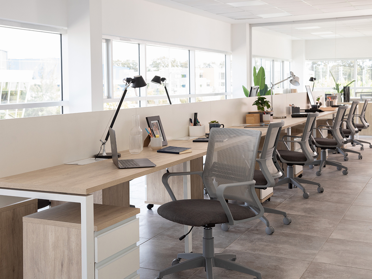 Showroom Rolic